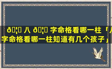 🦟 八 🦄 字命格看哪一柱「八字命格看哪一柱知道有几个孩子」